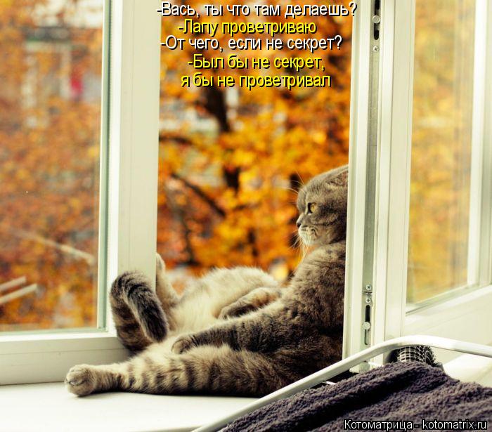 Котоматрица: -Вась, ты что там делаешь? -Лапу проветриваю я бы не проветривал -От чего, если не секрет? -Был бы не секрет,