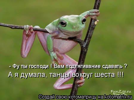 Котоматрица: - Фу ты господи ! Вам подтягивание сдавать ? А я думала, танцы вокруг шеста !!!