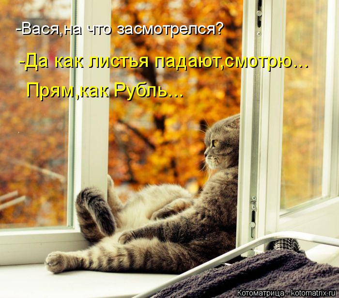 Котоматрица: -Вася,на что засмотрелся? -Да как листья падают,смотрю... Прям,как Рубль...