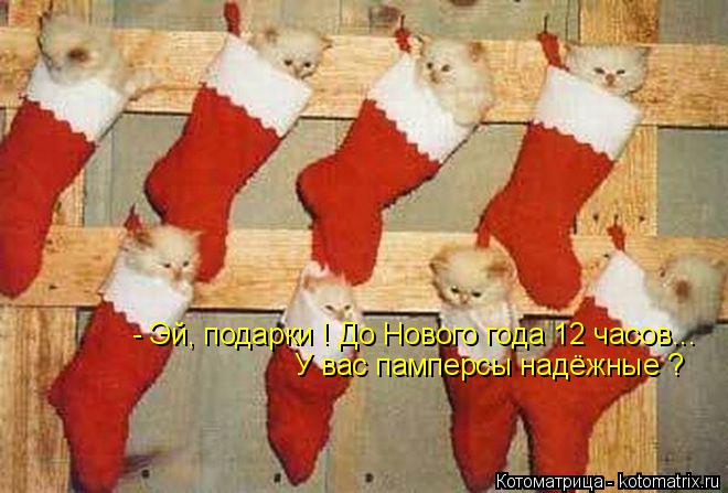 Котоматрица: - Эй, подарки ! До Нового года 12 часов... У вас памперсы надёжные ?