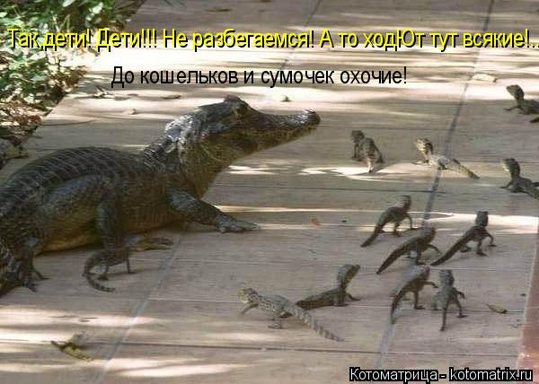 Котоматрица: Так,дети! Дети!!! Не разбегаемся! А то ходЮт тут всякие!... До кошельков и сумочек охочие!