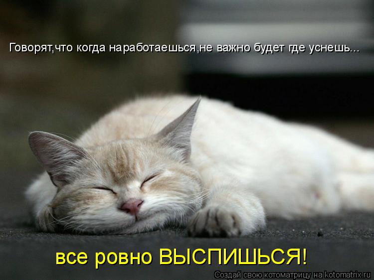 Котоматрица: Говорят,что когда наработаешься,не важно будет где уснешь... все ровно ВЫСПИШЬСЯ!