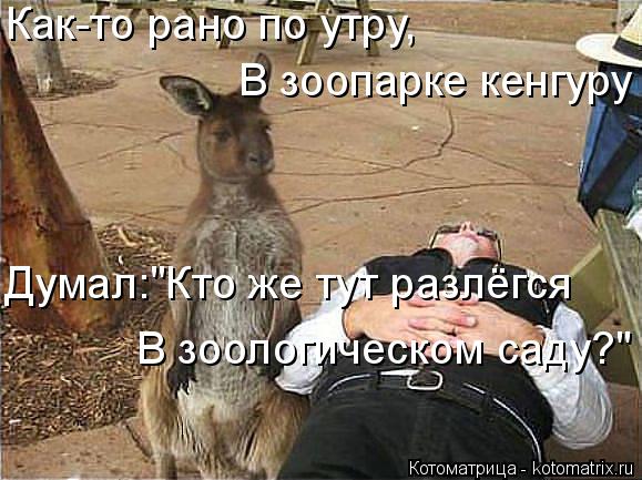 Котоматрица: Как-то рано по утру, В зоопарке кенгуру Думал:"Кто же тут разлёгся В зоологическом саду?"
