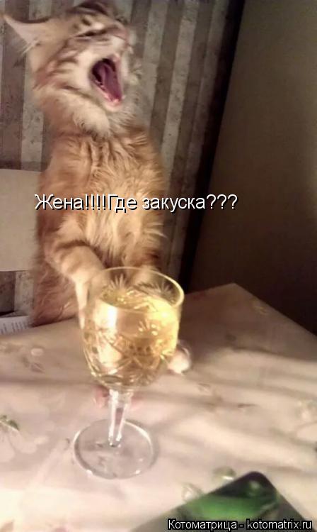 Котоматрица: Жена!!!!Где закуска???