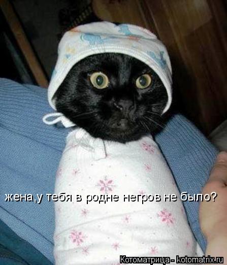 Котоматрица: жена,у тебя в родне негров не было?
