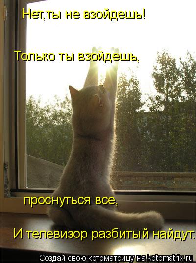 Котоматрица: Нет,ты не взойдешь! Только ты взойдешь, проснуться все, И телевизор разбитый найдут...
