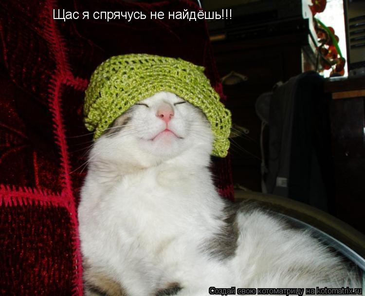 Котоматрица: Щас я спрячусь не найдёшь!!!