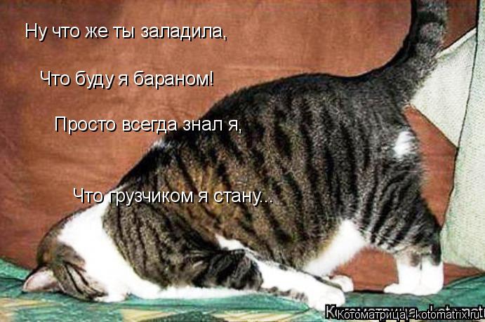Котоматрица: Ну что же ты заладила, Что буду я бараном! Просто всегда знал я, Что грузчиком я стану...