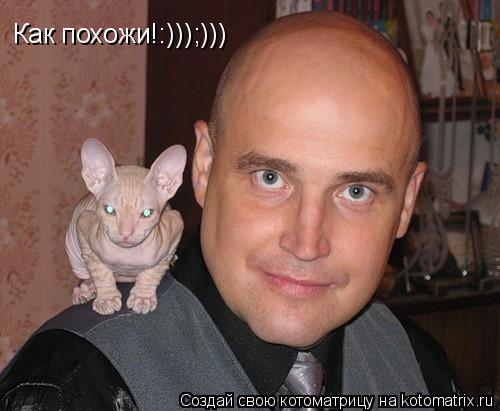 Котоматрица: Как похожи!:)));)))