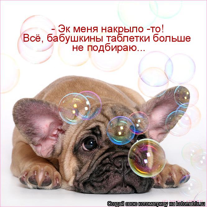 Котоматрица: - Эк меня накрыло -то! Всё, бабушкины таблетки больше не подбираю...