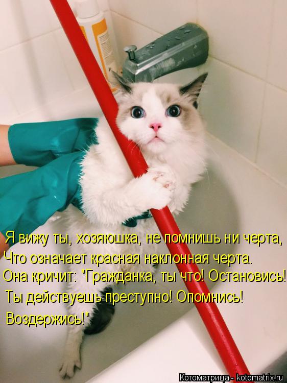 Она кричит: "Гражданка, ты что! Остановись! Ты действуешь преступно! Опомнись! Воздержись!" Что озна... Котоматрица: Она кричит: "Гражданка, ты что! Остановись! Ты действуешь преступно! Опомнись! Воздержись!" Что означает красная наклонная черта. Я вижу ты, х
