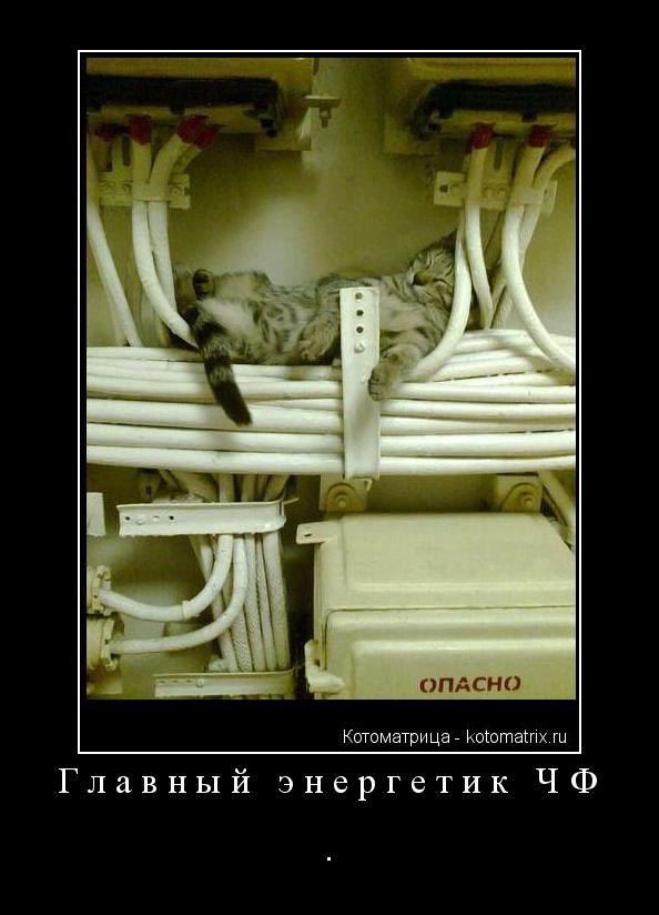 Котоматрица: Главный энергетик ЧФ .