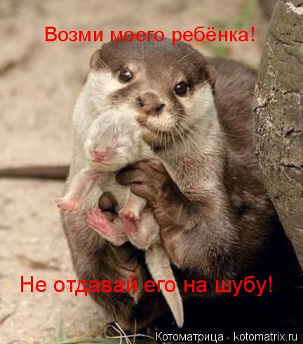 Котоматрица: Возми моего ребёнка! Не отдавай его на шубу!