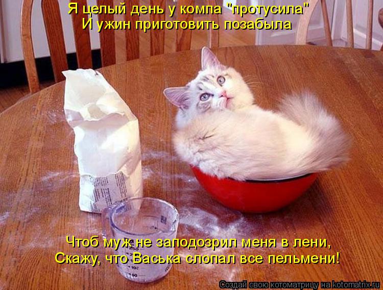 Котоматрица: Чтоб муж не заподозрил меня в лени, Скажу, что Васька слопал все пельмени! Я целый день у компа "протусила" И ужин приготовить позабыла