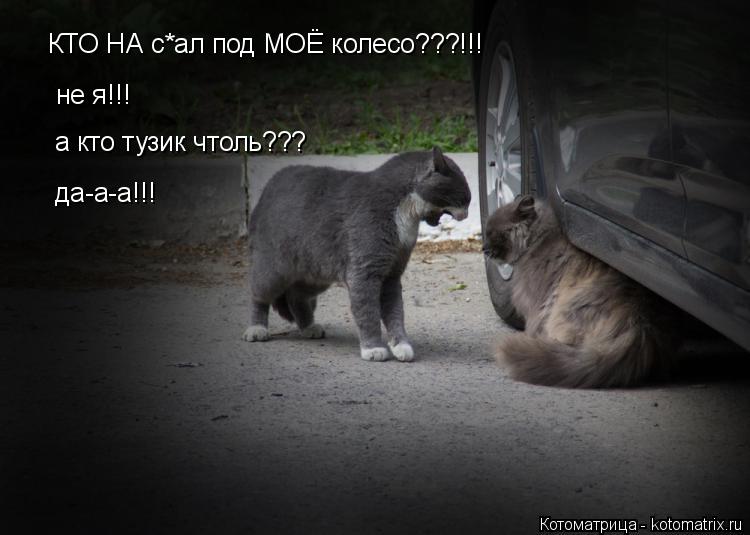 КТО НА с*ал под МОЁ колесо???!!! не я!!! а кто тузик чтоль??? да-а-а!!!... Котоматрица: КТО НА с*ал под МОЁ колесо???!!! не я!!! а кто тузик чтоль??? да-а-а!!!