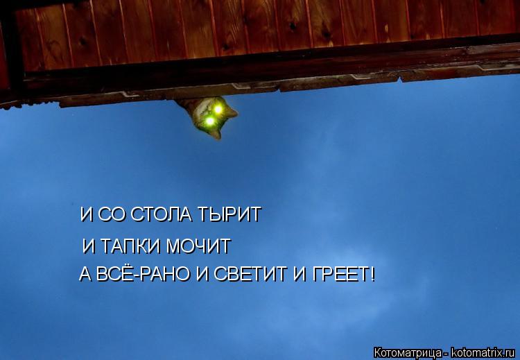 И СО СТОЛА ТЫРИТ И ТАПКИ МОЧИТ А ВСЁ-РАНО И СВЕТИТ И ГРЕЕТ!... Котоматрица: И СО СТОЛА ТЫРИТ И ТАПКИ МОЧИТ А ВСЁ-РАНО И СВЕТИТ И ГРЕЕТ!