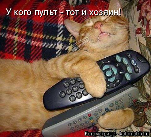 Котоматрица: У кого пульт - тот и хозяин!