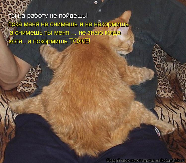 Котоматрица: ты на работу не пойдёшь! пока меня не снимешь и не накормишь а снимешь ты меня ... не знаю когда хотя...и покормишь ТОЖЕ!