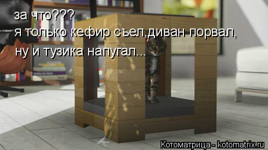 Котоматрица: за что??? я только кефир съел,диван порвал, ну и тузика напугал...
