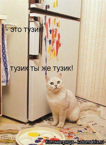 Котоматрица: - это тузик!  - тузик ты же тузик!