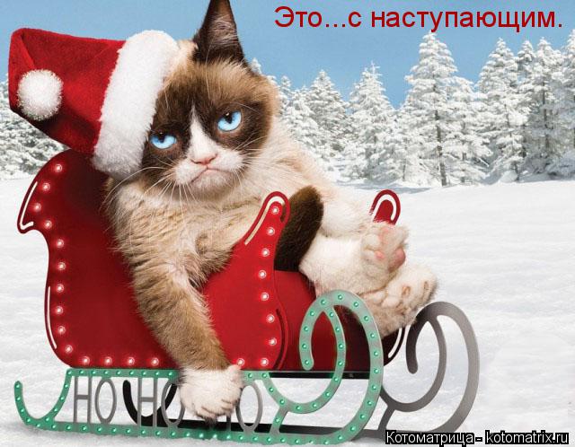 Котоматрица: Это...с наступающим.