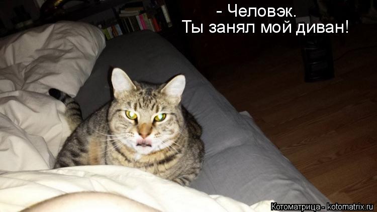 Котоматрица: - Человэк. Ты занял мой диван!