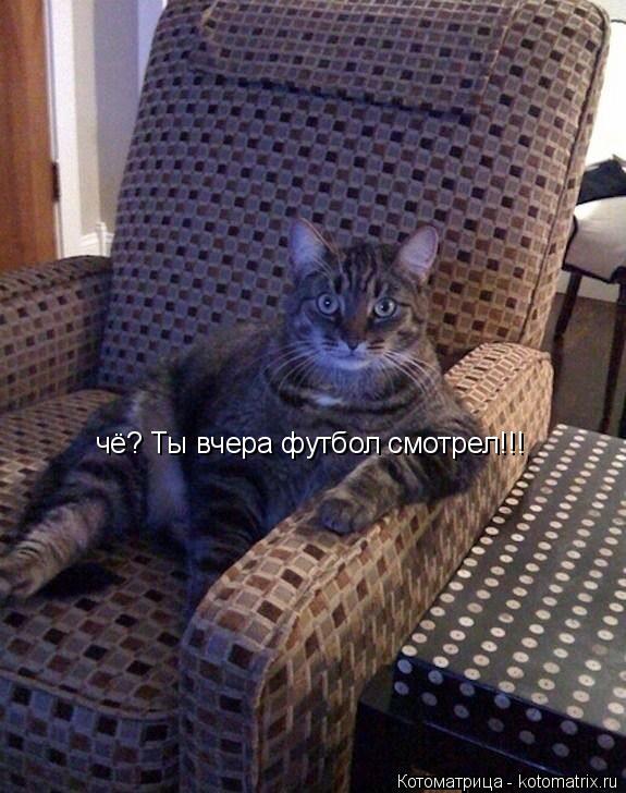 Котоматрица: чё? Ты вчера футбол смотрел!!!