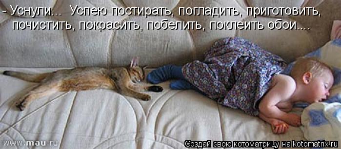 Котоматрица: - Уснули...  Успею постирать, погладить, приготовить, почистить, покрасить, побелить, поклеить обои....