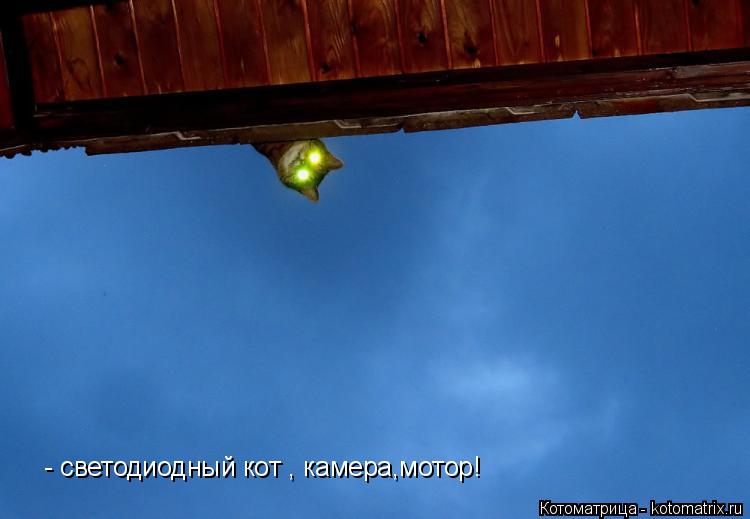 Котоматрица: - светодиодный кот , камера,мотор!