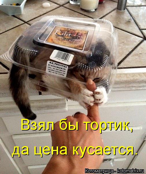 Котоматрица: Взял бы тортик, да цена кусается.
