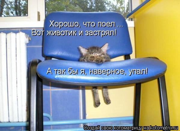 Котоматрица: Хорошо, что поел ... Вот животик и застрял! А так бы я, наверное, упал!