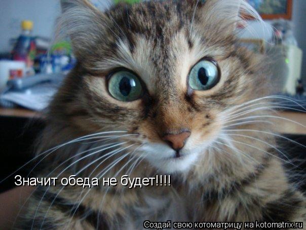 Котоматрица: Значит обеда не будет!!!!