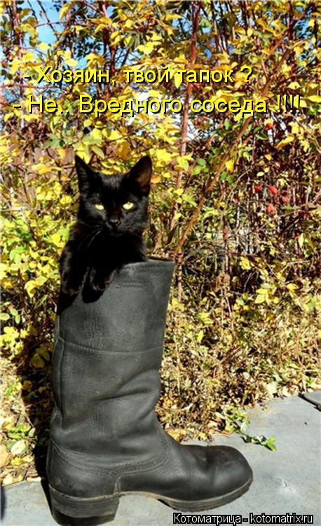 Котоматрица: - Хозяин, твой тапок ? - Не.. Вредного соседа !!!!