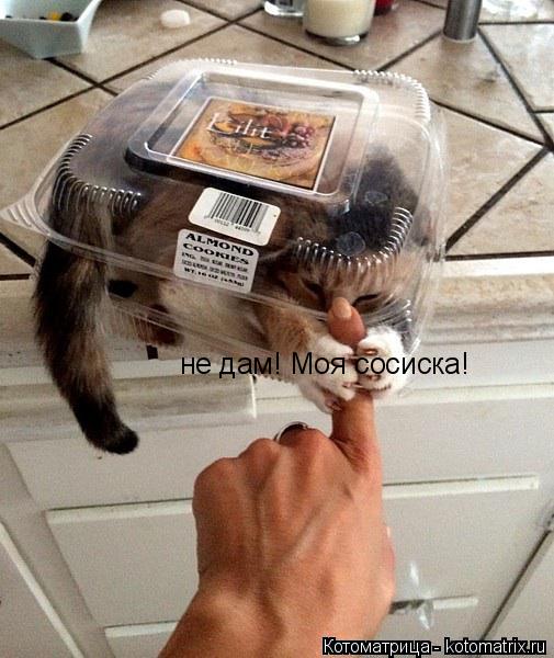 Котоматрица: не дам! Моя сосиска!