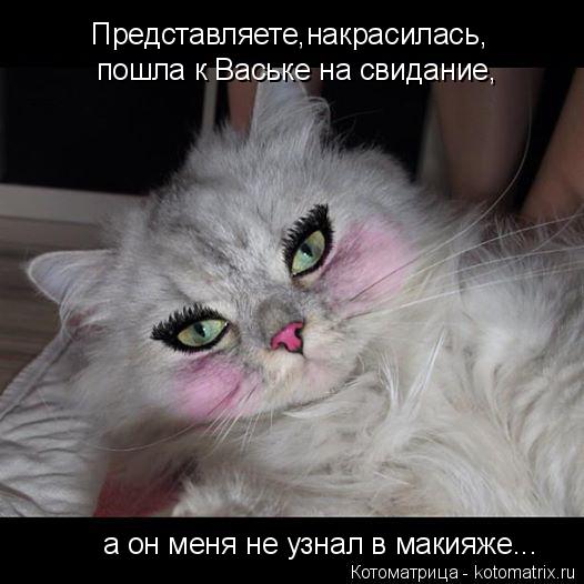 Представляете,накрасилась, пошла к Ваське на свидание, а он меня не узнал в макияже...... Котоматрица: Представляете,накрасилась, пошла к Ваське на свидание, а он меня не узнал в макияже...