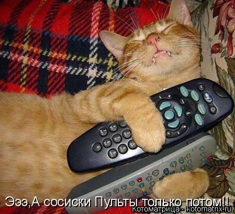 Котоматрица: Эээ,А сосиски Пульты только потом!!