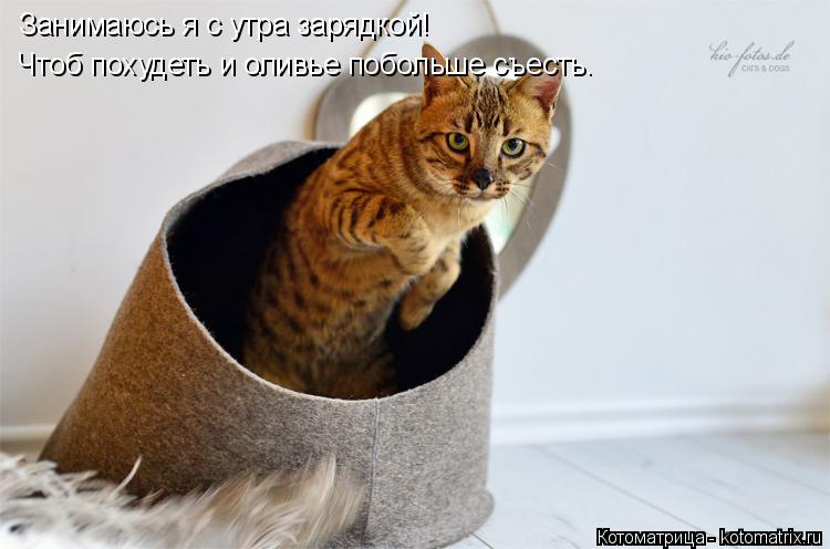 Котоматрица: Занимаюсь я с утра зарядкой! Чтоб похудеть и оливье побольше съесть.