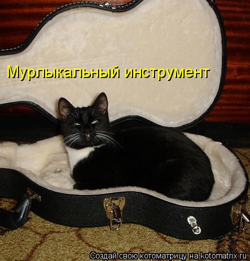Котоматрица: Мурлыкальный инструмент