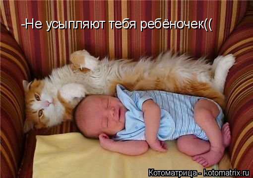 Котоматрица: -Не усыпляют тебя ребёночек((