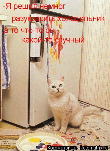 Котоматрица: -Я решил немног  разукрасить холодильник а то что-то он  какой-то скучный