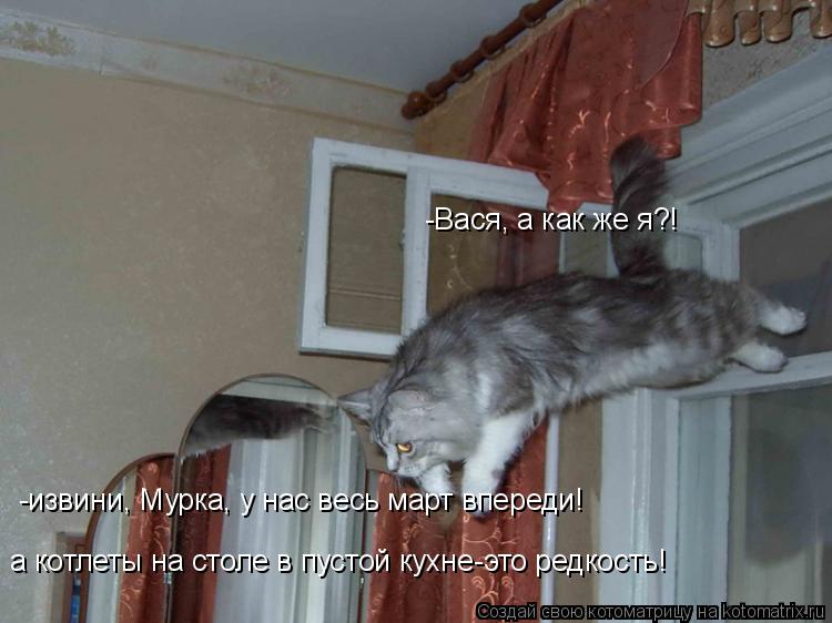 Котоматрица: -Вася, а как же я?! -извини, Мурка, у нас весь март впереди!  а котлеты на столе в пустой кухне-это редкость!
