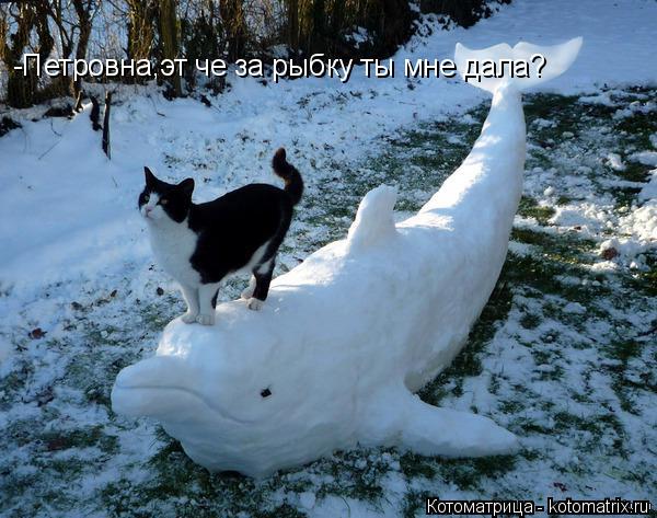 Котоматрица: -Петровна,эт че за рыбку ты мне дала?