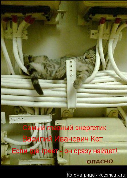 Котоматрица: Если где греет - он сразу найдет! Самый главный энергетик  Василий Иванович Кот