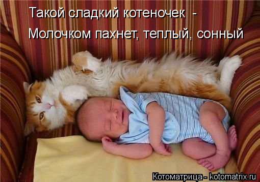 Котоматрица: Молочком пахнет, теплый, сонный  Такой сладкий котеночек  -