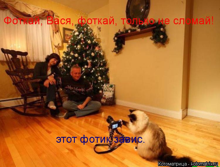 Котоматрица: Фоткай, Вася, фоткай, только не сломай! этот фотик завис.