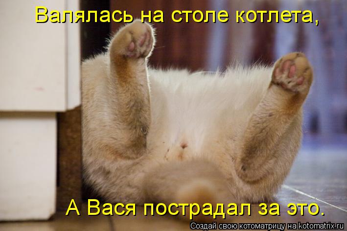Котоматрица: Валялась на столе котлета,  А Вася пострадал за это.