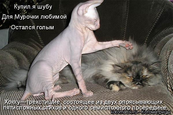 Котоматрица: пятисложных стихов и одного семисложного посередине. Хокку—трёхстишие, состоящее из двух опоясывающих Для Мурочки любимой Купил я шубу О