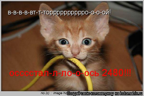 Котоматрица: в-в-в-в-вт-т-торррррррррро-о-о-ой! осссстал-л-ло-о-ось 2480!!!