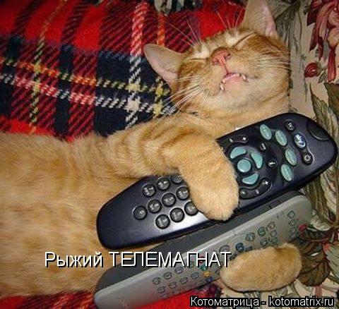 Котоматрица: Рыжий ТЕЛЕМАГНАТ