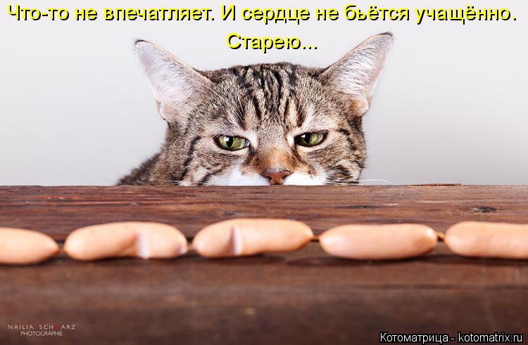 Котоматрица: Что-то не впечатляет. И сердце не бьётся учащённо. Старею...
